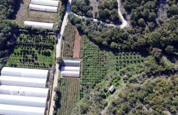 Land for Sale in Montenegro – Ulcinj – Darza – Gemeinde Ulcinj – 5.870 m²